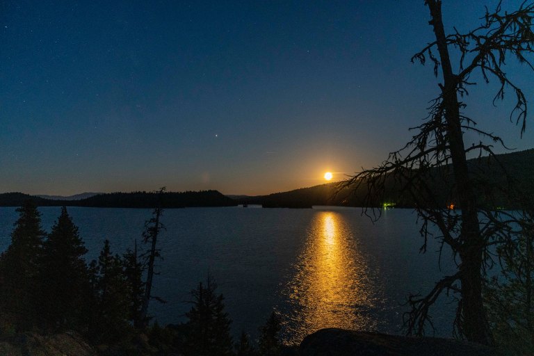 David BeckMcCallDSC05485