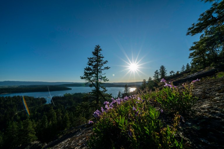 David BeckMcCallDSC05507