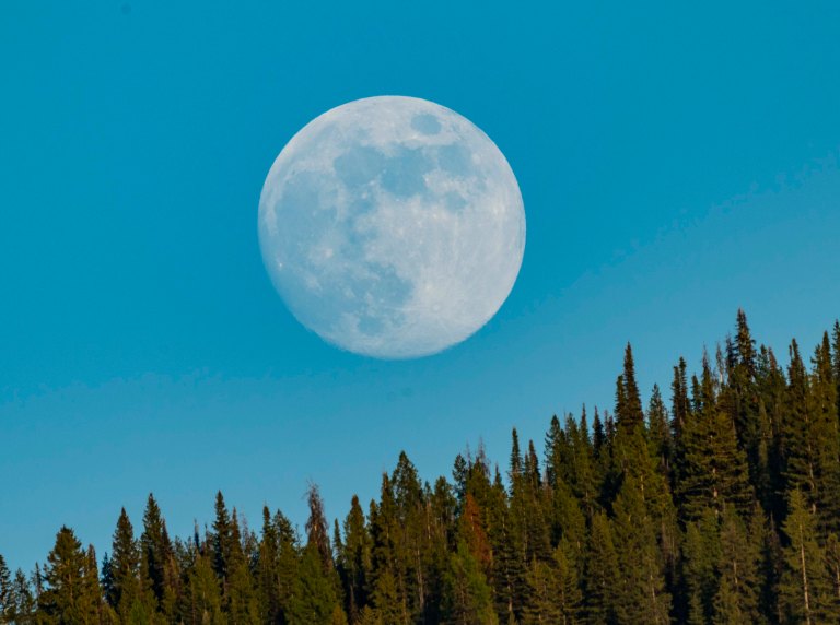 David BeckMcCallDSC05525