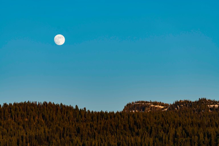 David BeckMcCallDSC05547