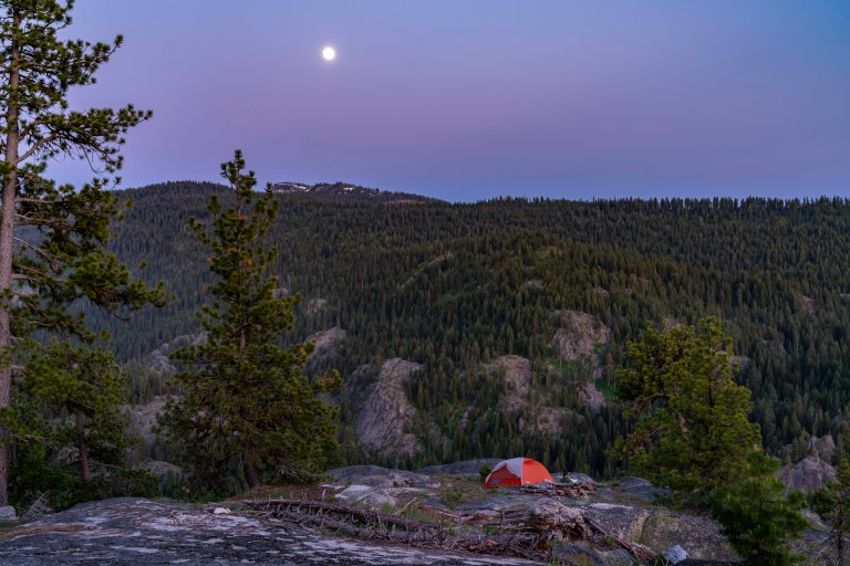 David BeckMcCallDSC05559