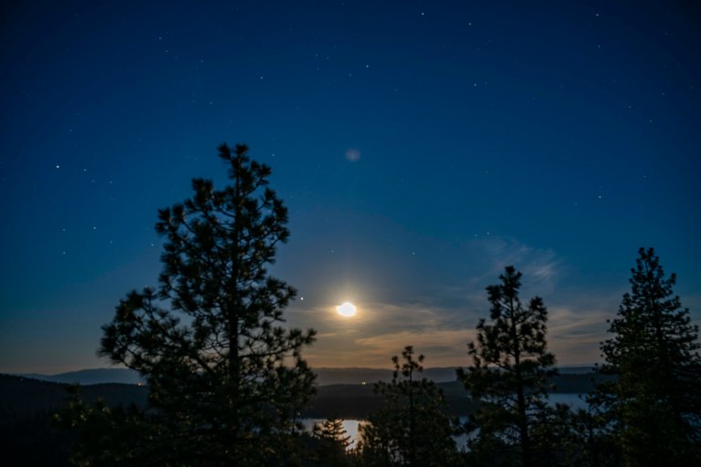 David BeckMcCallDSC05579