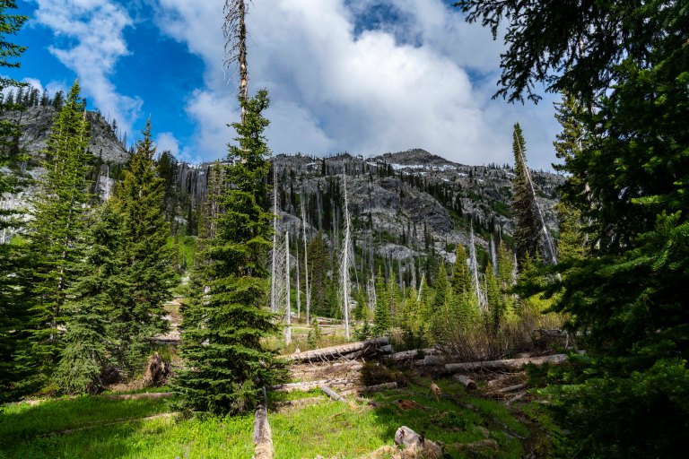 David BeckMcCallDSC05646