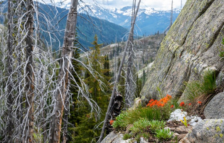 David BeckMcCallDSC05654