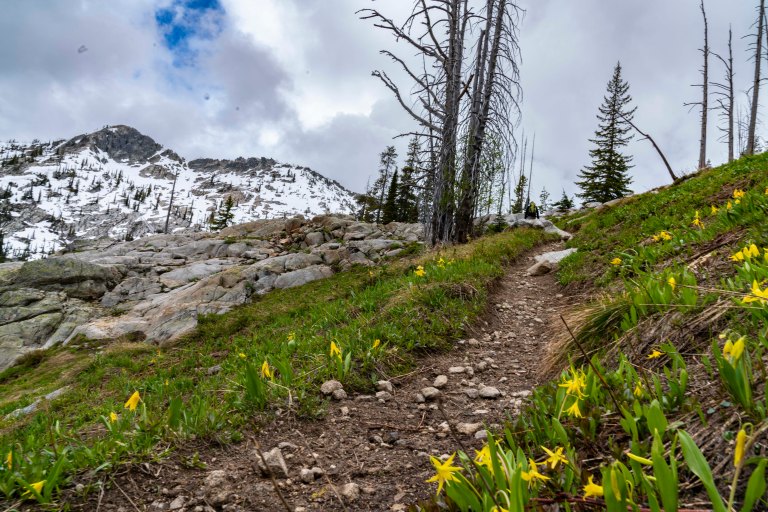 David BeckMcCallDSC05659