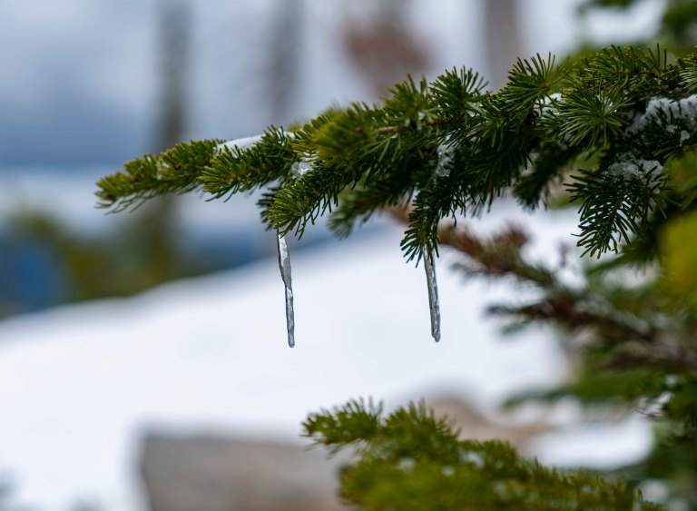 David BeckMcCallDSC05696