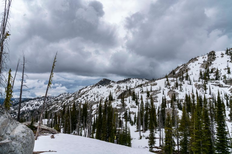 David BeckMcCallDSC05707