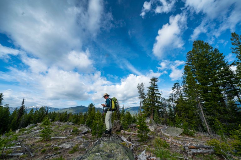 David BeckMcCallDSC05717