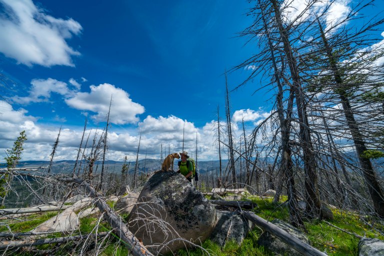 David BeckMcCallDSC05723