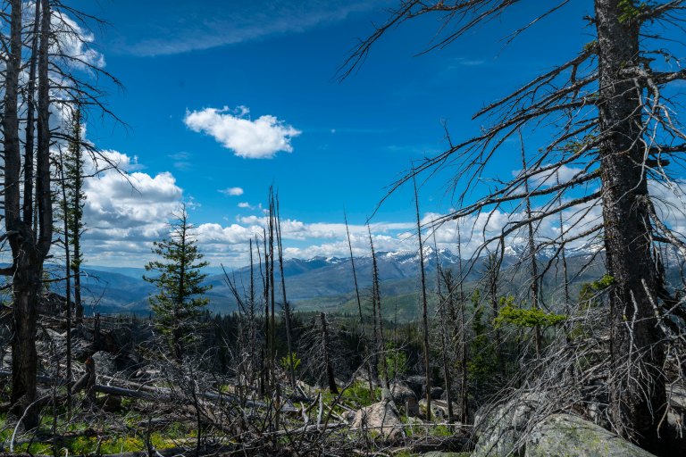 David BeckMcCallDSC05726