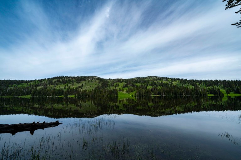 David BeckMcCallDSC05759