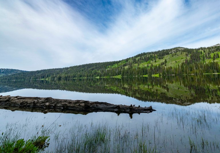 David BeckMcCallDSC05760