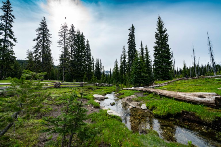 David BeckMcCallDSC05762