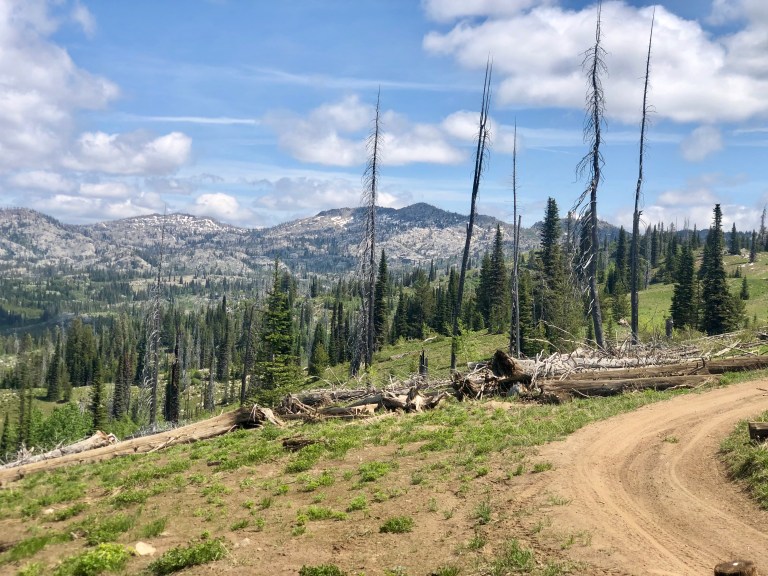 FB0C3FF6-2188-48FA-A4CD-CB6705F01A1E