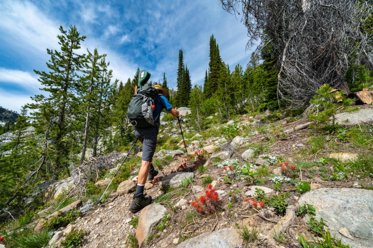 David BeckMcCallDSC05786