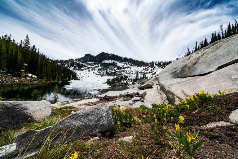 David BeckMcCallDSC05821