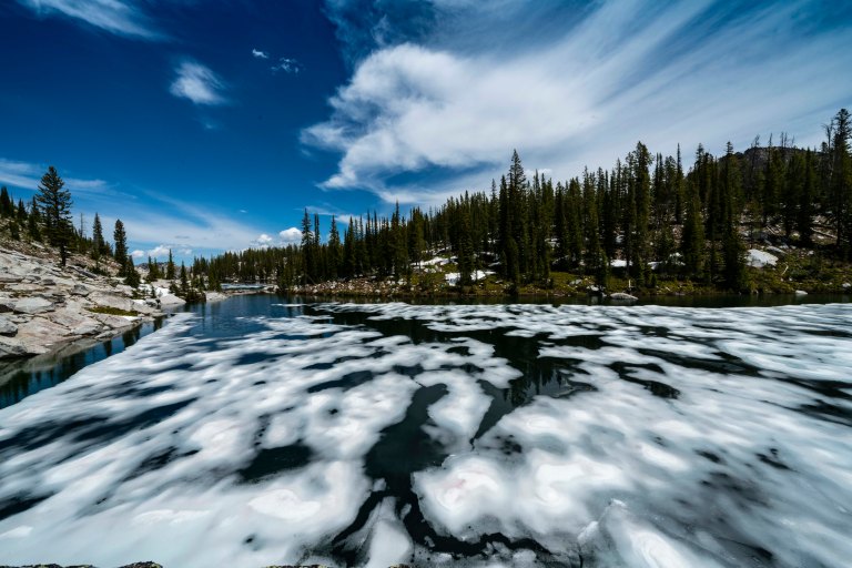 David BeckMcCallDSC05826