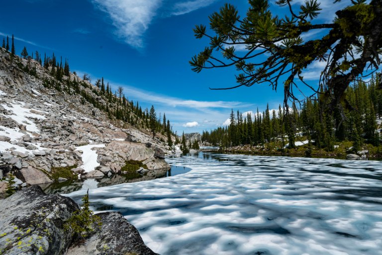 David BeckMcCallDSC05843