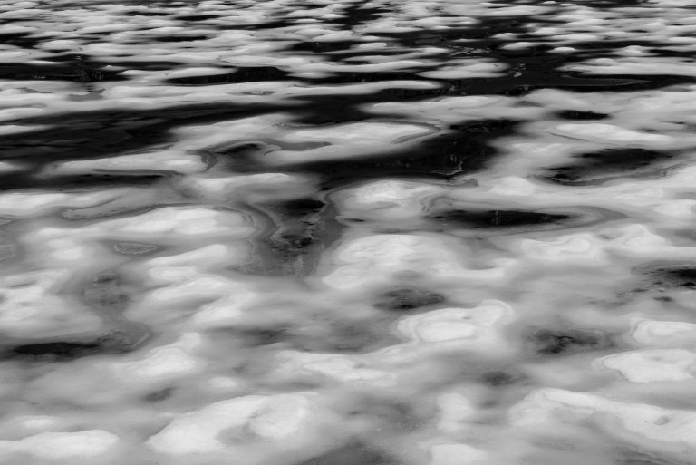 David BeckMcCallDSC05856