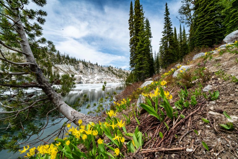 David BeckMcCallDSC05899.jpg