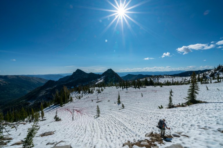 David BeckMcCallDSC05954