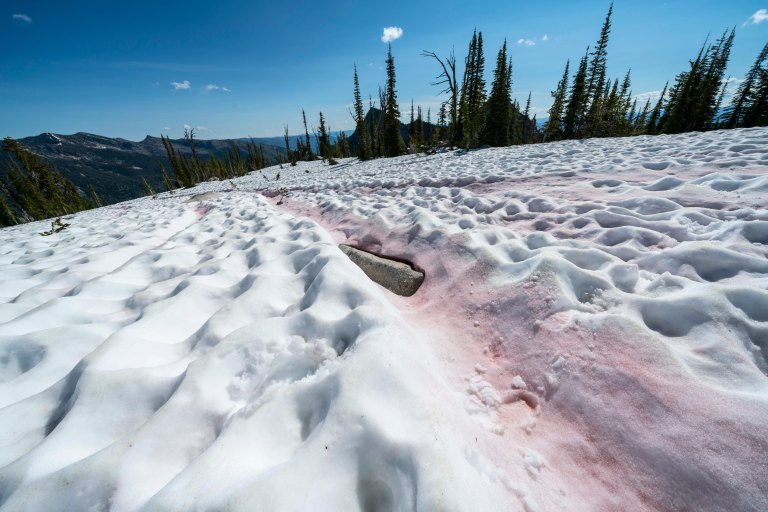 David BeckMcCallDSC05958