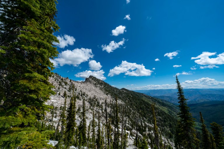 David BeckMcCallDSC05966