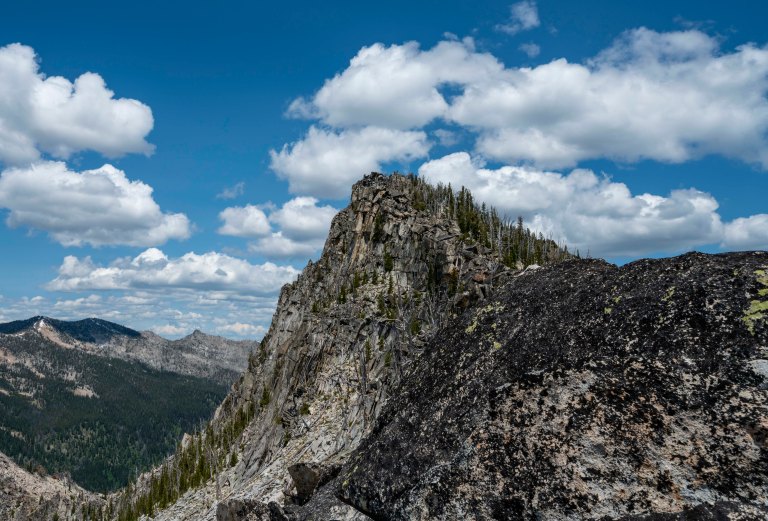 David BeckMcCallDSC05980