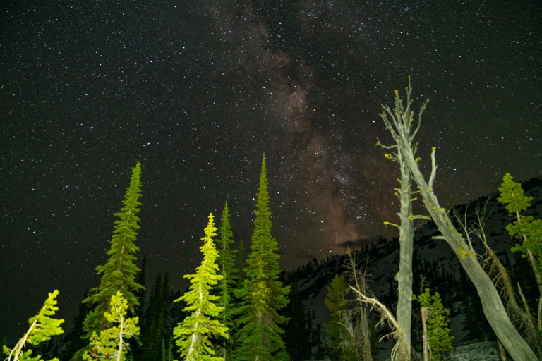 David BeckMcCallDSC06002