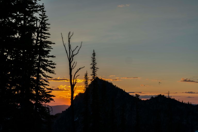 David BeckMcCallDSC06045