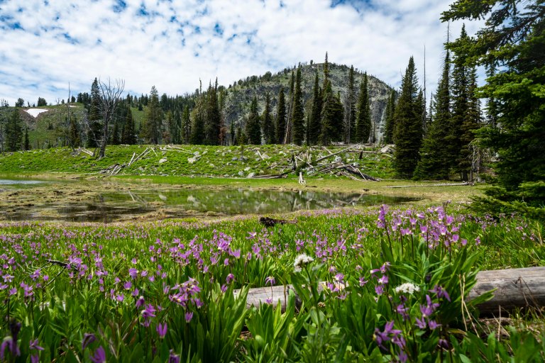 David BeckMcCallDSC06110