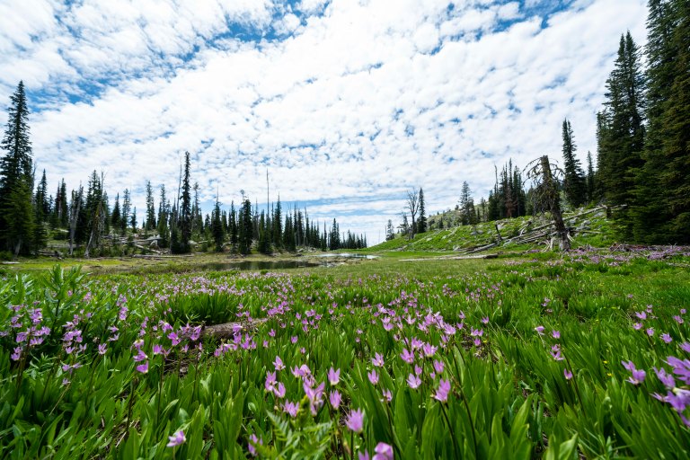 David BeckMcCallDSC06114