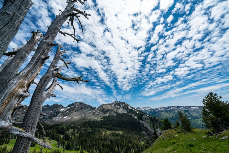 David BeckMcCallDSC06116