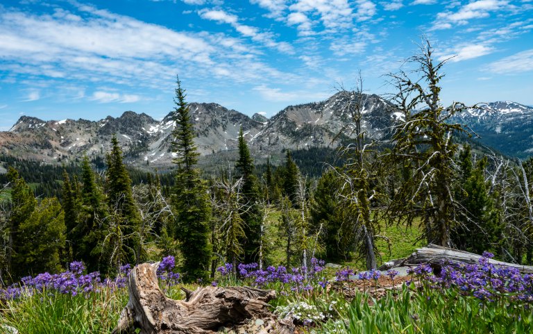 David BeckMcCallDSC06122