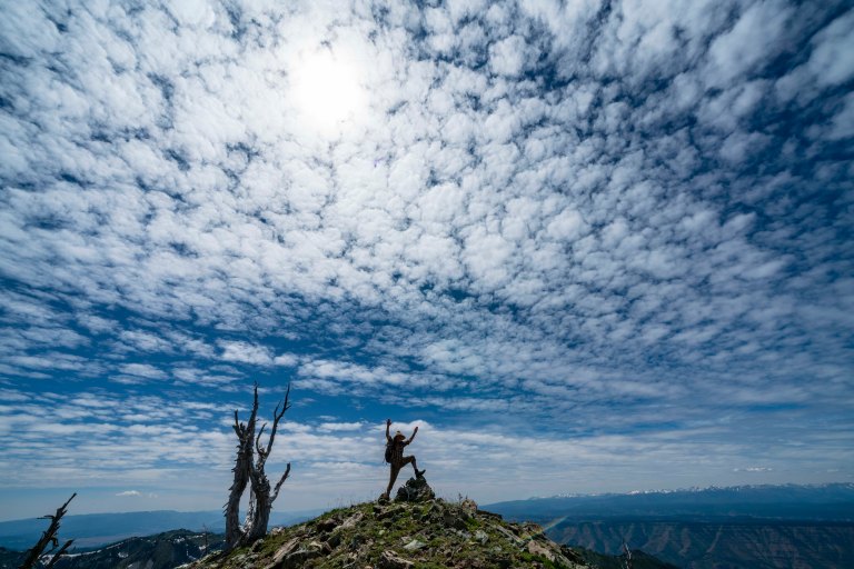 David BeckMcCallDSC06130