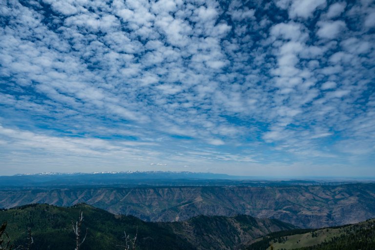 David BeckMcCallDSC06131