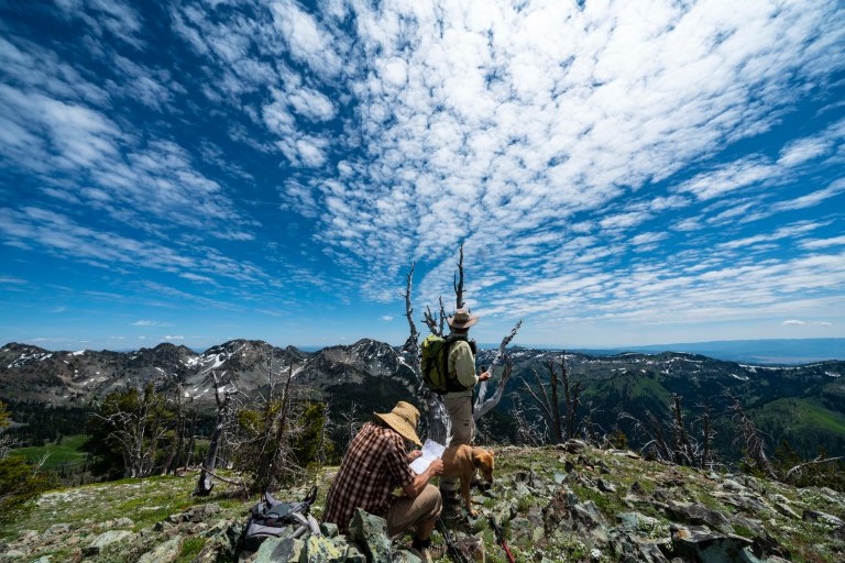 David BeckMcCallDSC06133