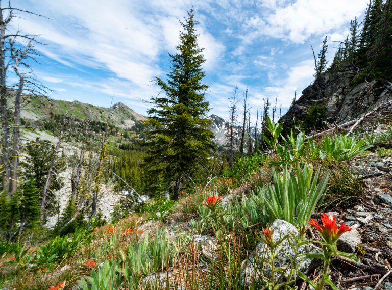 David BeckMcCallDSC06150