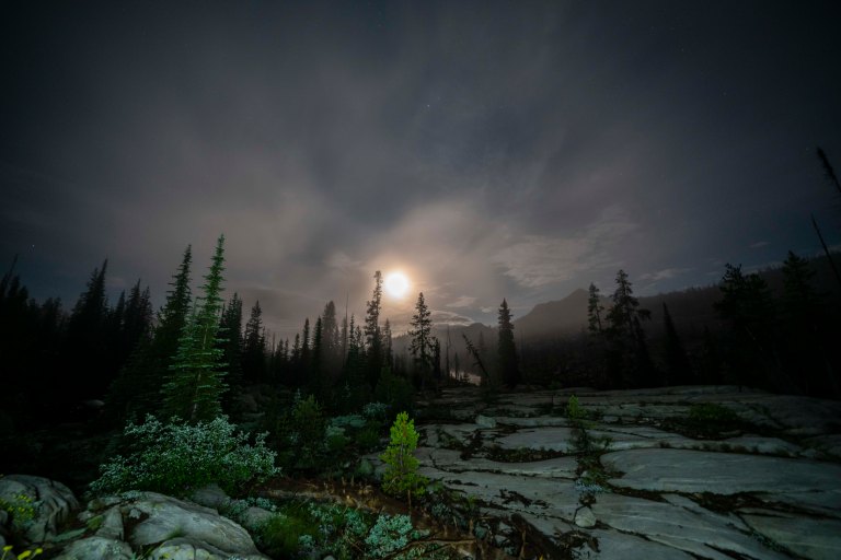 David BeckMcCallDSC06247