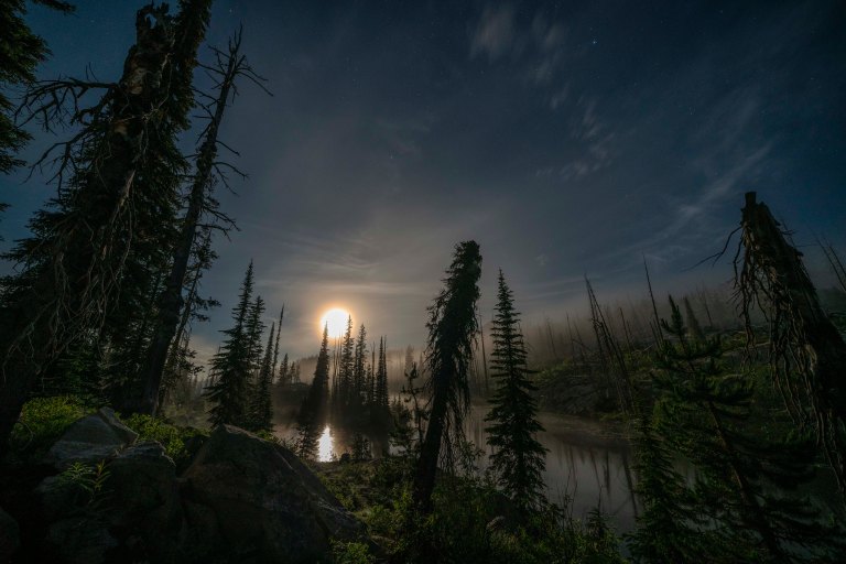 David BeckMcCallDSC06269