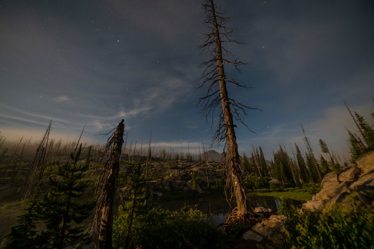 David BeckMcCallDSC06271