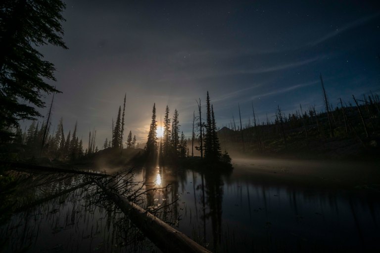 David BeckMcCallDSC06283