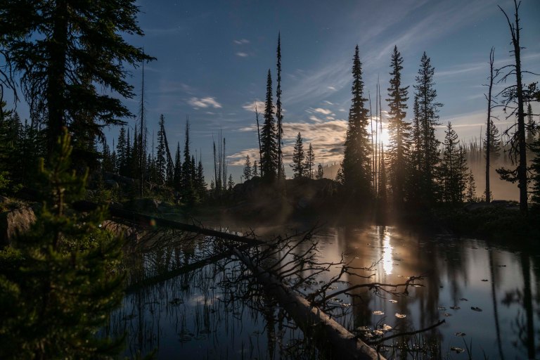 David BeckMcCallDSC06287