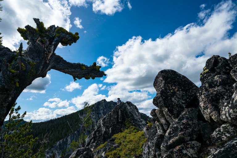 David BeckMcCallDSC06349