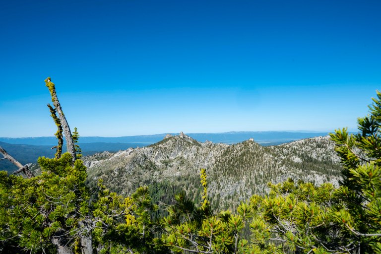 David BeckMcCallDSC06417