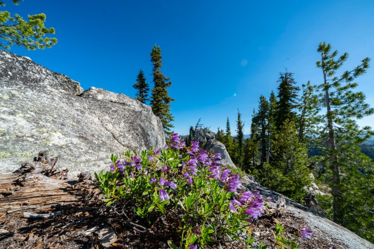 David BeckMcCallDSC06420