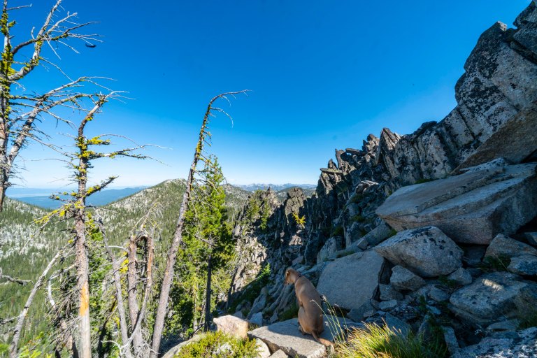 David BeckMcCallDSC06438