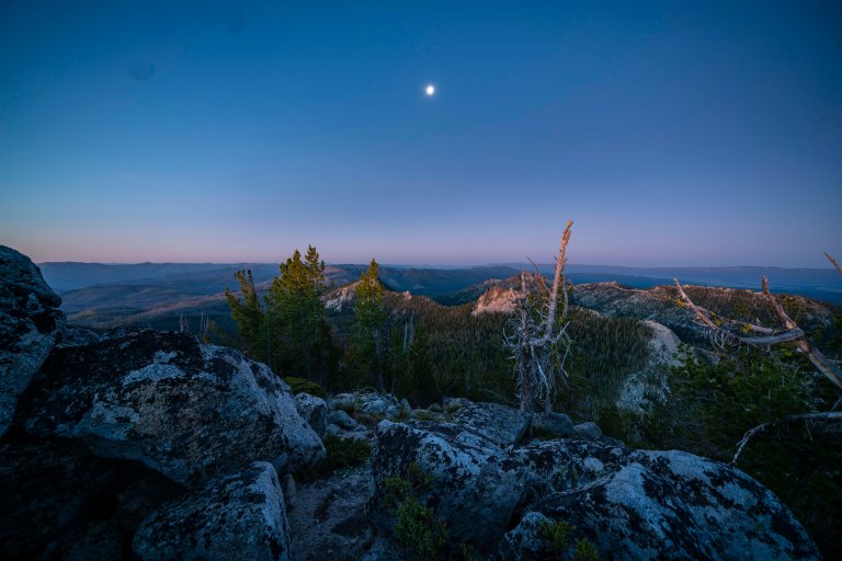 David BeckMcCallDSC06473