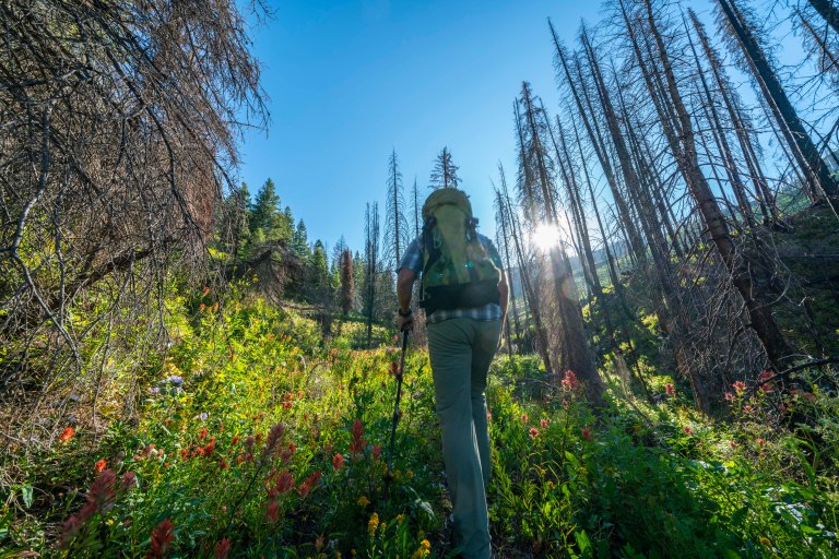 David BeckMcCallDSC06521