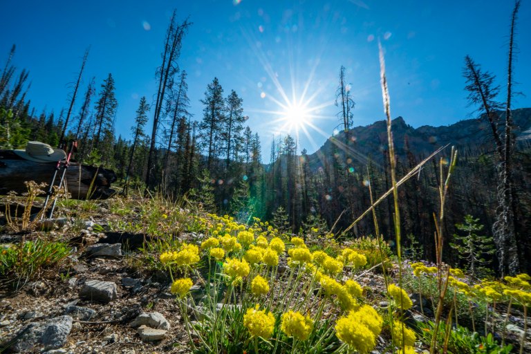 David BeckMcCallDSC06525